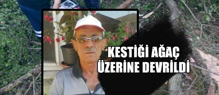 Ağaç kesim işçisi ölü bulundu
