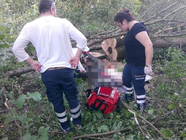 Ağaç kesim işçisi ölü bulundu