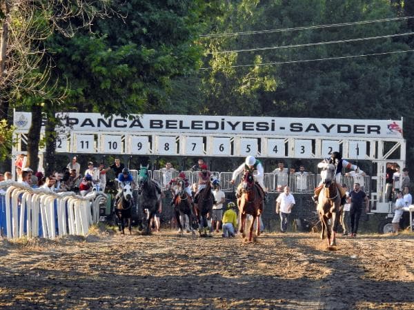 Sapanca'da düzenlenen at yarışları nefesleri kesti