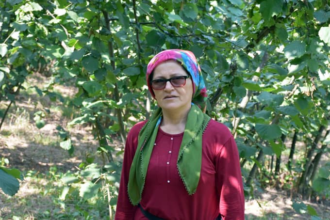 Ayılar mahalleye indi