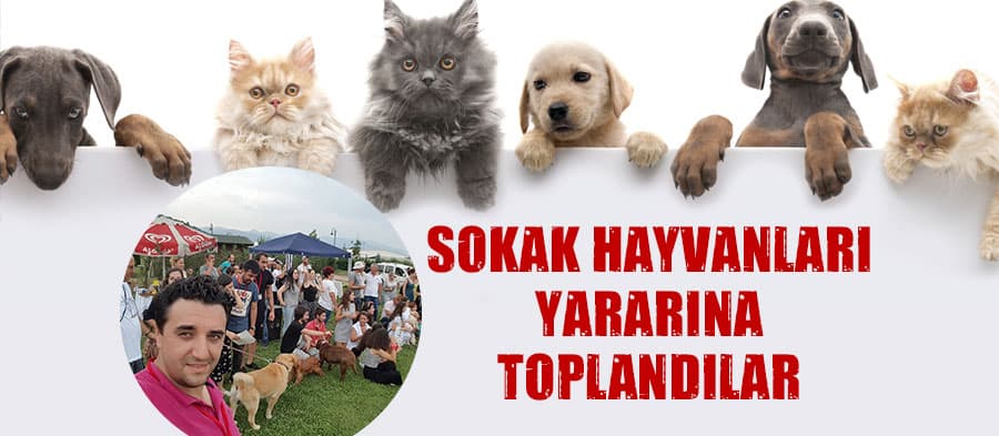 Sokak hayvanları için buluştular