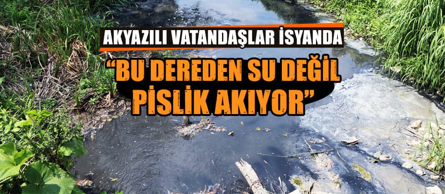 Bu dereden su değil pislik akıyor