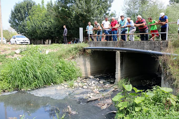 Bu dereden su değil pislik akıyor