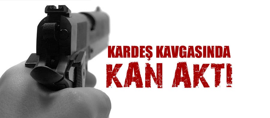 Abisi kardeşini bacağından vurdu