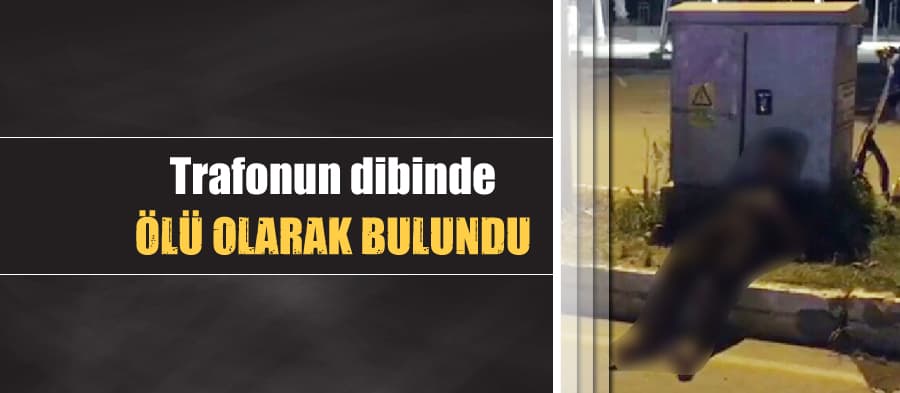 Sakarya'da bir kişi ölü olarak bulundu