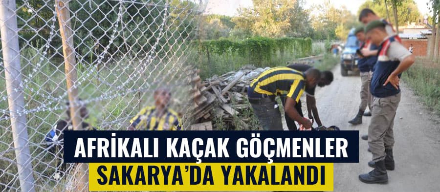 Afrikalı kaçak göçmenler Sakarya'da yakalandı
