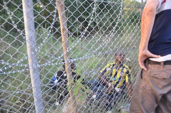 Afrikalı kaçak göçmenler Sakarya'da yakalandı