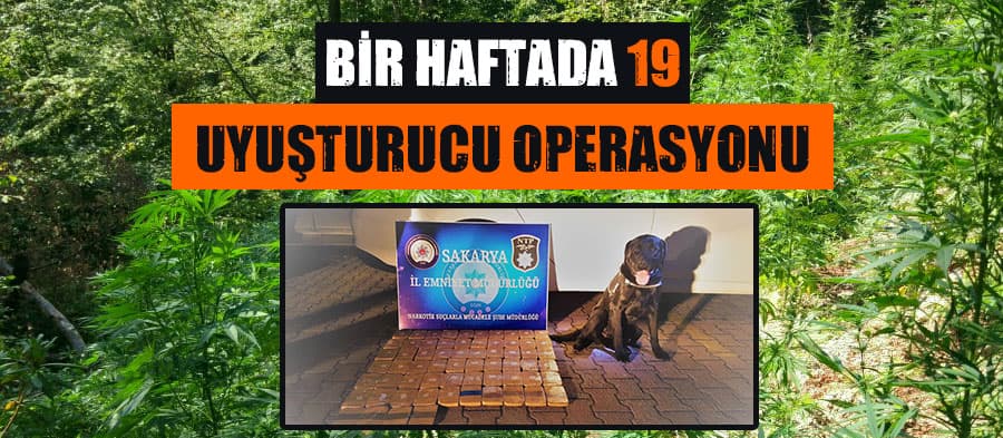 Bir haftada 19 operasyon