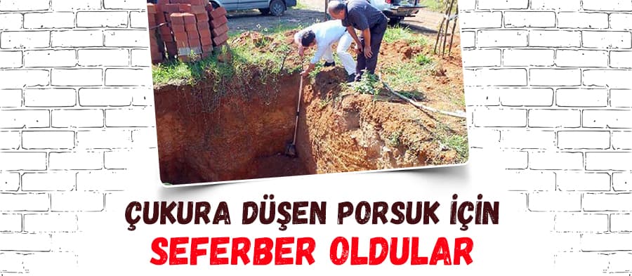 Çukura düşen porsuk için seferber oldular