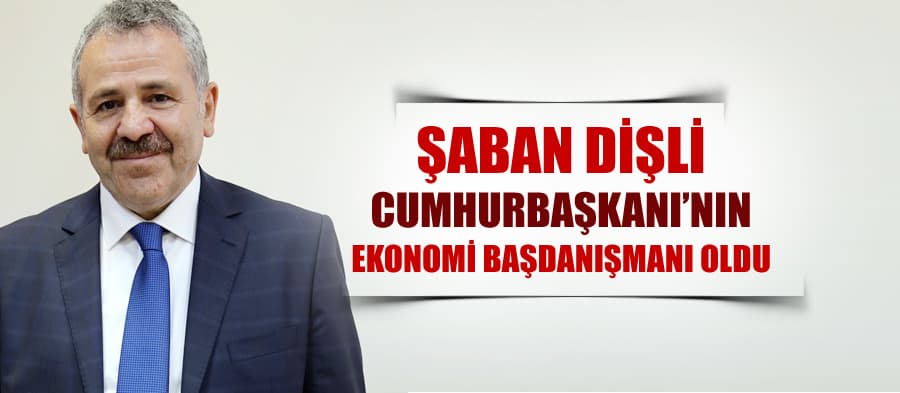 Şaban Dişli, Cumhurbaşkanı'nın Ekonomi Başdanışmanı oldu