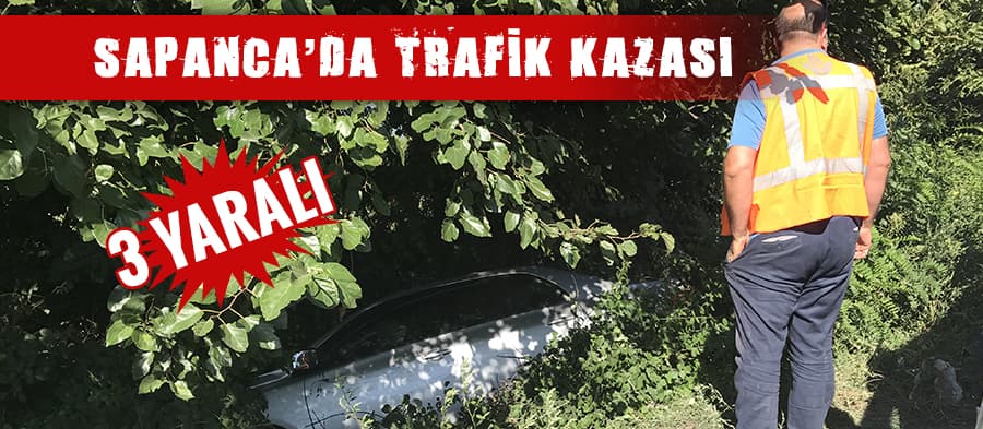 Sapanca'da trafik kazası