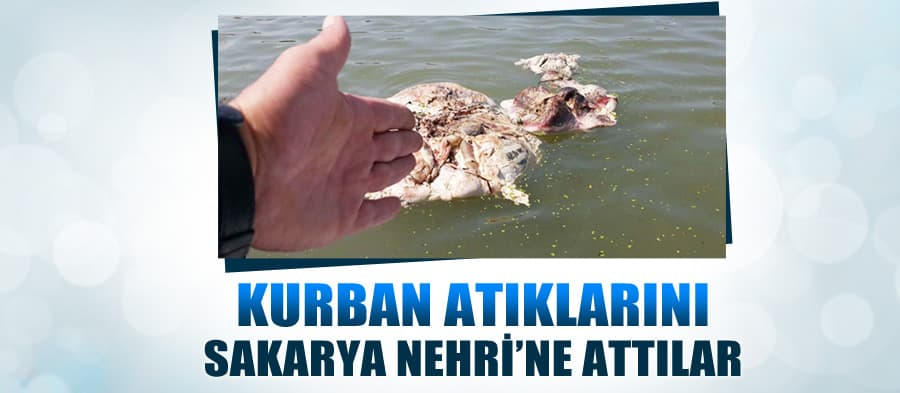 Kurban atıklarını Sakarya Nehri'ne attılar