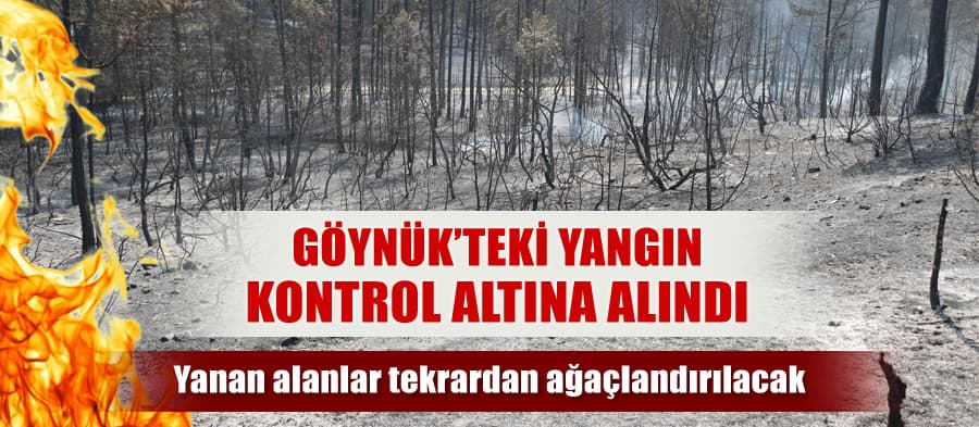 Göynük'te ormanlık alan kül oldu