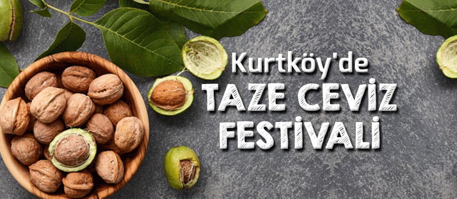 Kurtköy'de Taze Ceviz Festivali
