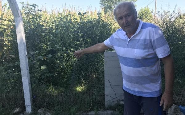 10 kez çiftliğe girip 500 tavuk çaldılar