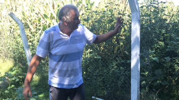 10 kez çiftliğe girip 500 tavuk çaldılar
