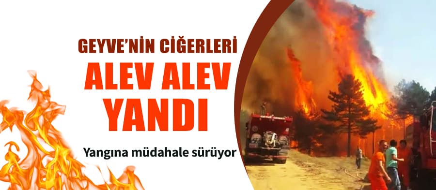 Geyve'de dev orman yangını