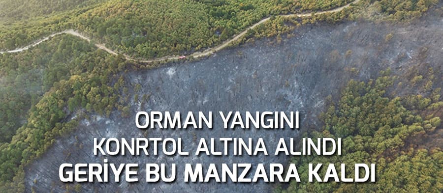 Orman yangını kontrol altına alındı