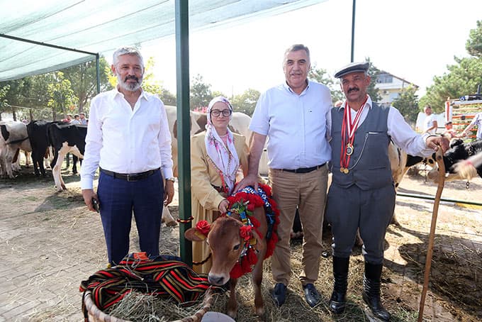 33. Söğütlü Festivali başladı