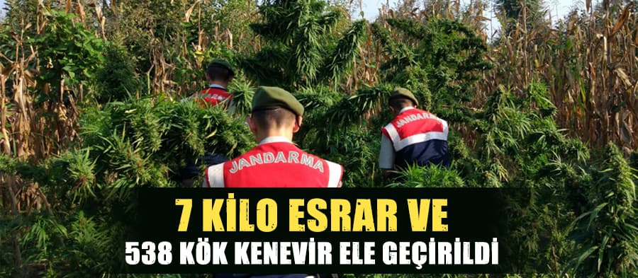 Uyuşturucu operasyonları devam ediyor