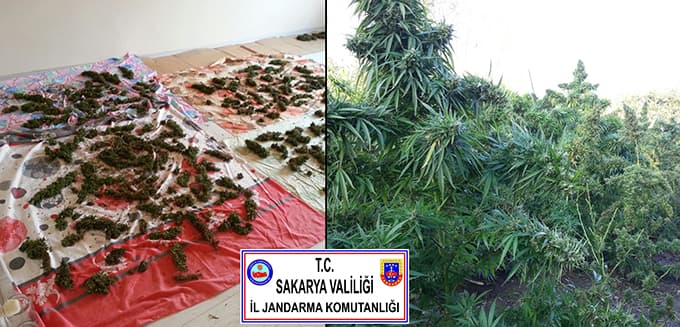 Uyuşturucu operasyonları devam ediyor