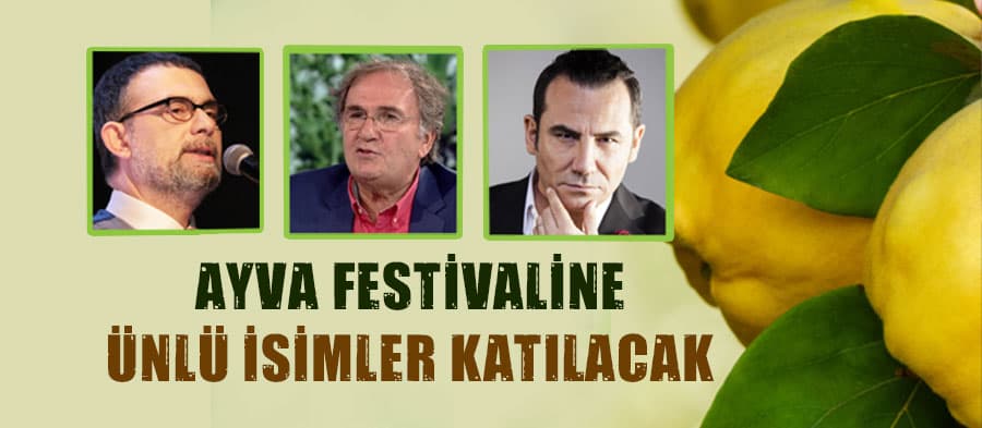 Geyve'de ayva festivali