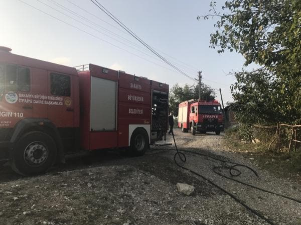 Çıkan yangında bir hayvan telef oldu
