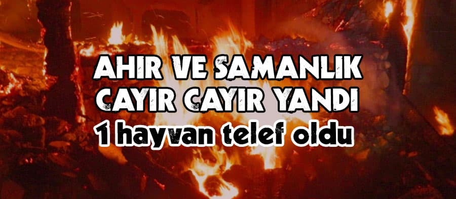 Kaynarca'da samanlık ve ahır yangını