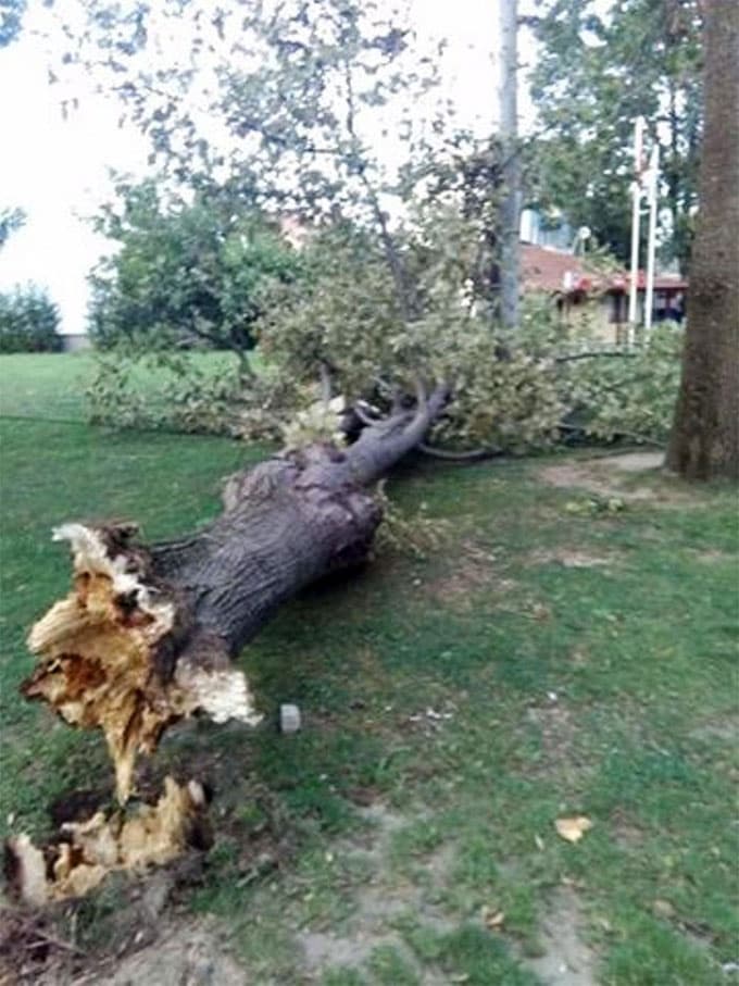 Kısa süreli fırtına korkuttu