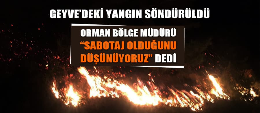 Geyve'deki orman yangını söndürüldü