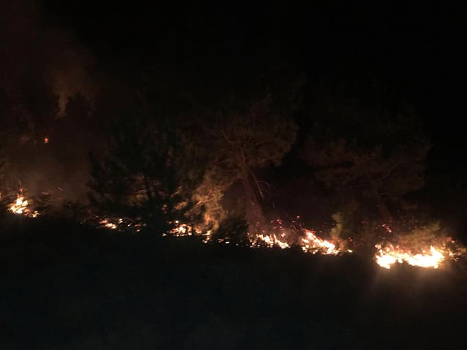Geyve'deki orman yangını söndürüldü