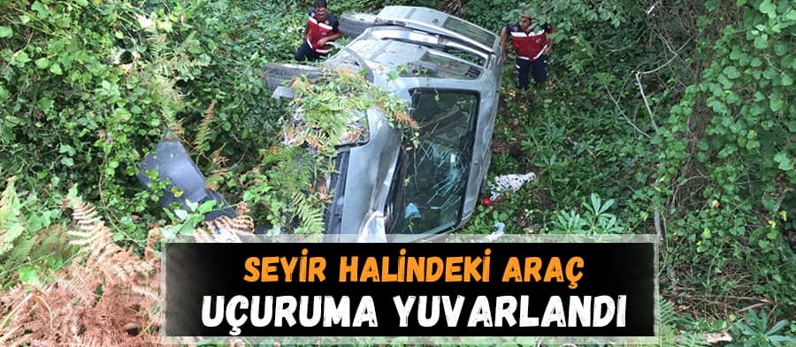 Yoldan çıkan araç uçuruma yuvarlandı