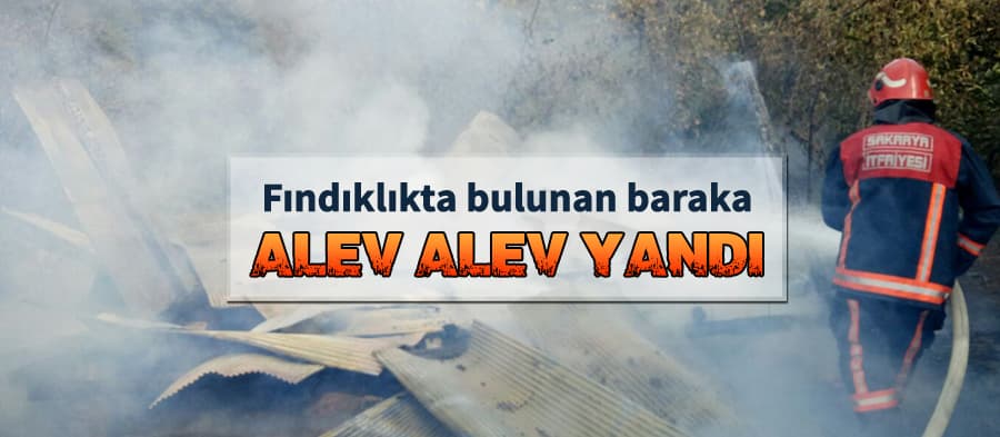 Fındık bahçesinde bulunan baraka küle döndü