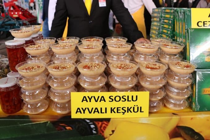 Geyve Ayva Festivali başladı
