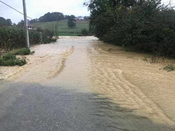 Kaynarca'da yağmur nedeniyle dereler taştı, yollar su altında kaldı