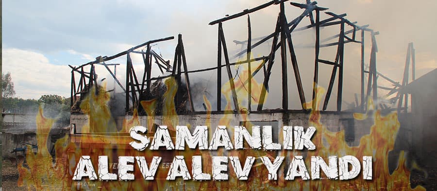 Samanlık cayır cayır yandı