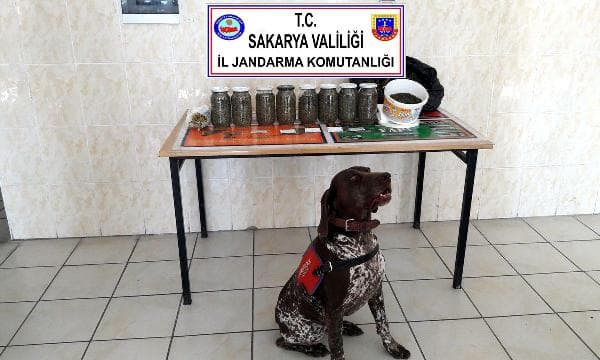 İki kişiyi yaralayan hizmetlinin evinden 2 kilo esrar çıktı