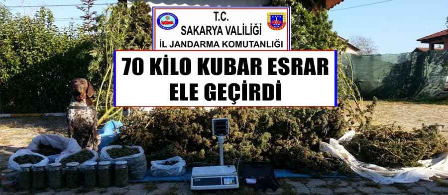 70 kilogram kubar esrar ele geçirildi