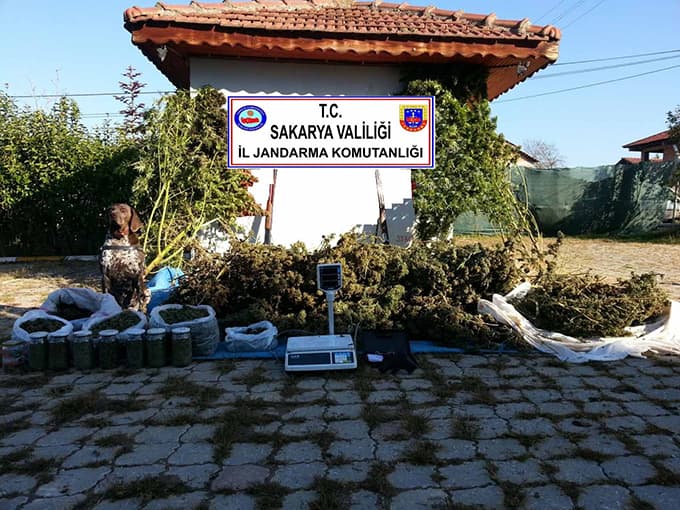 70 kilogram kubar esrar ele geçirildi