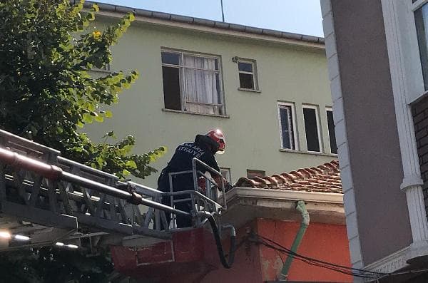 Çatıda mahsur kalan kediyi itfaiye ekipleri kurtardı