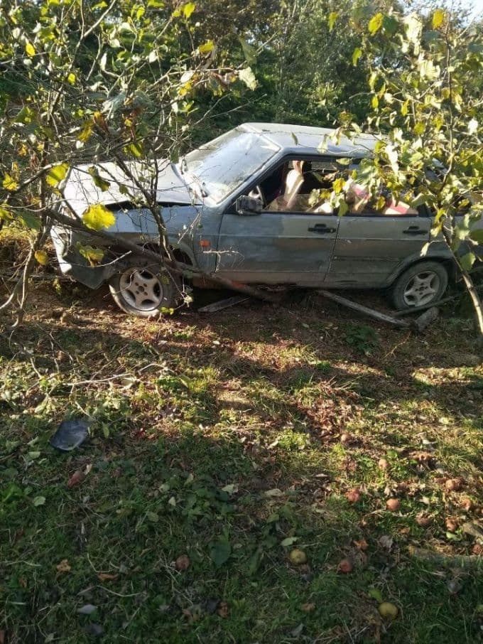 Kontrolden çıkan otomobil tarlaya uçtu