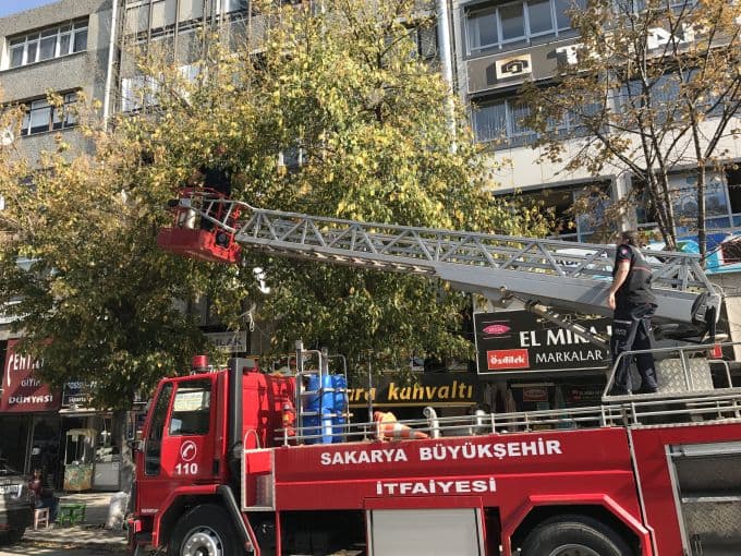 Ağaçta mahsur kalan kediyi, itfaiye ekipleri kurtardı