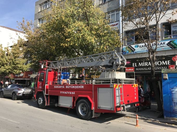 Ağaçta mahsur kalan kediyi, itfaiye ekipleri kurtardı