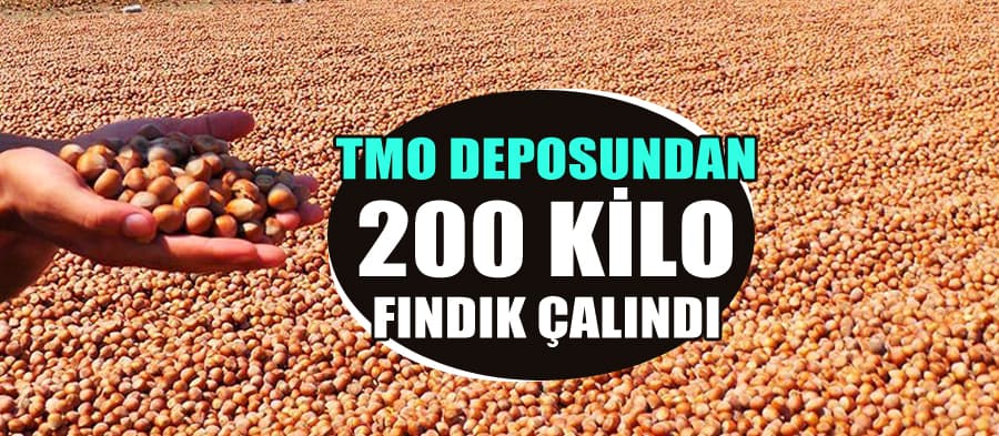 TMO deposunda fındık hırsızlığı