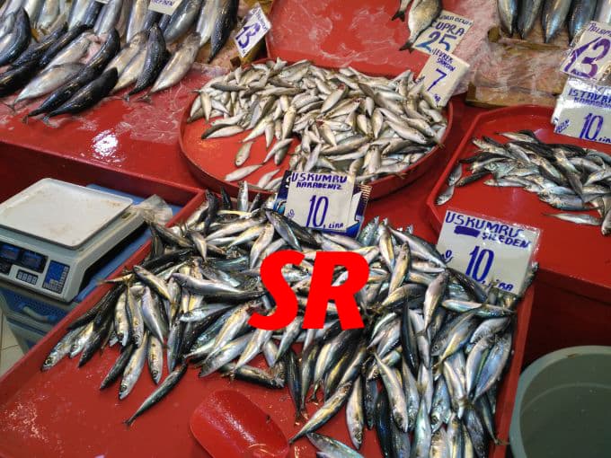 Hamsi fiyatları düşüşe geçti