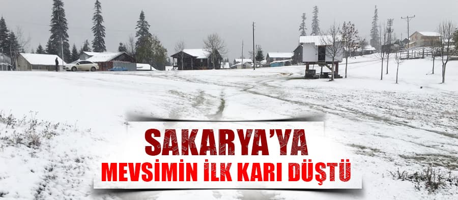 Sakarya'ya mevsimin ilk karı düştü
