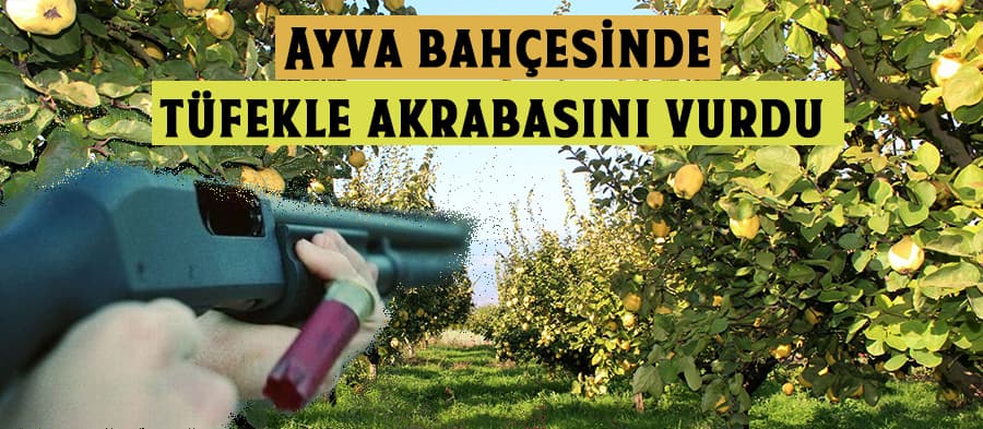 Ayva bahçesinde tüfekle akrabasını vurdu