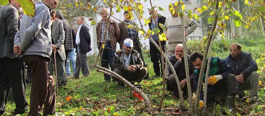 Fındıkta verim ve kaliteyi artırmak için eğitim aldılar