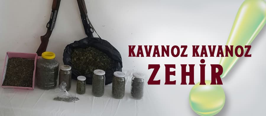 Karasu'da uyuşturucu baskını