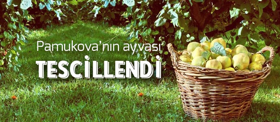 Pamukova ayvası tescillendi